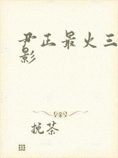 尹正最火三部电影封面