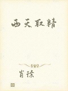 西天取精封面