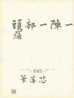 头部一阵一阵刺痛