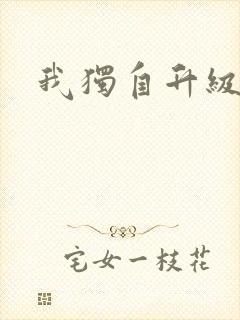 我独自升级2