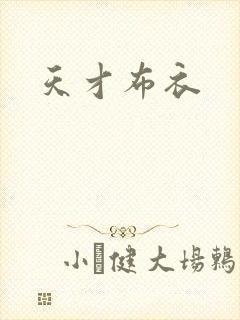 天才布衣封面