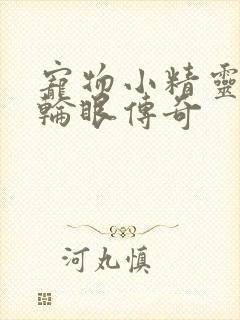 宠物小精灵之写轮眼传奇