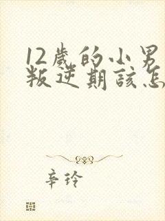 12岁的小男孩叛逆期该怎么办
