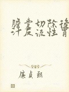 胆囊切除后有胆汁反流性胃炎怎么办