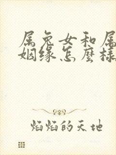 属兔女和属狗男姻缘怎么样