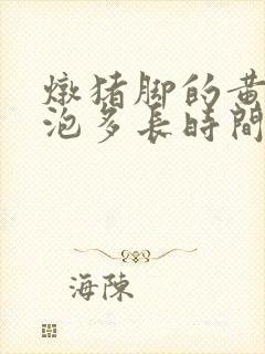 炖猪脚的黄豆要泡多长时间