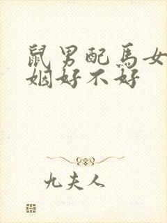 鼠男配马女的婚姻好不好封面