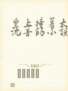 皇上撞着太子妃沈音的小说叫什么封面