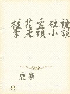 校花处破被灌满李老头小说