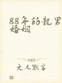 88年的龙男的婚姻封面
