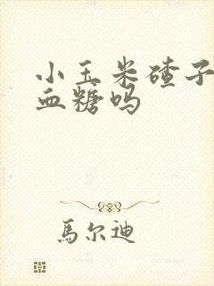 小玉米碴子粥升血糖吗