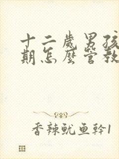 十二岁男孩叛逆期怎么管教