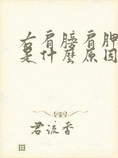 右肩膀肩胛骨疼是什么原因
