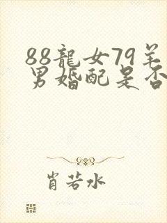 88龙女79羊男婚配是否合适