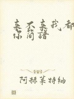 来不来我都在等你简谱