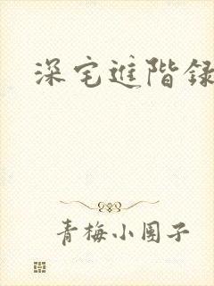 深宅进阶录封面