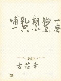 哺乳期胸一只大一只小怎么办