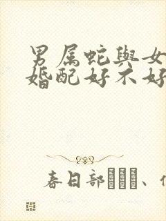 男属蛇与女属马婚配好不好封面