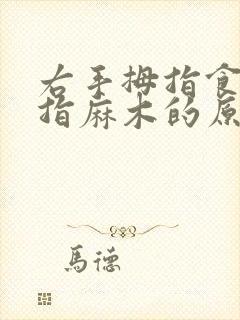 右手拇指食指中指麻木的原因封面