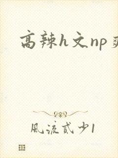 高辣h文np爽
