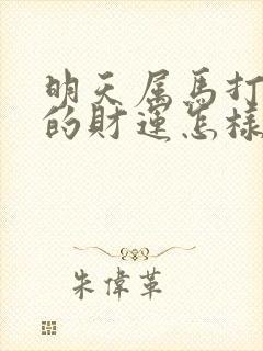 明天属马打麻将的财运怎样