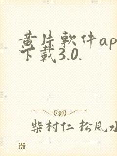 黄片软件app下载3.0.