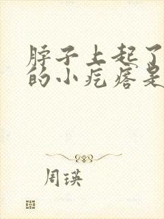 脖子上起了白色的小疙瘩是怎么回事