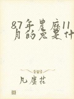 87年农历11月的兔是什么命