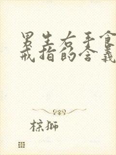 男生右手食指戴戒指的含义封面