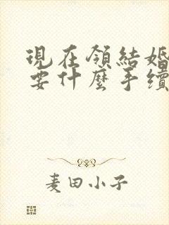 现在领结婚证需要什么手续?封面