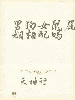 男狗女鼠属相婚姻相配吗
