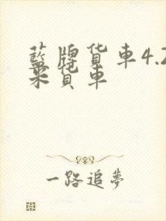 蓝牌货车4.2米货车