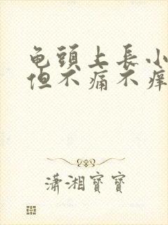 龟头上长小疙瘩但不痛不痒封面