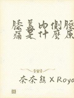 膝盖内侧胫骨疼痛是什么原因