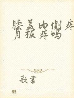 膝盖内侧疼是半月板疼吗封面