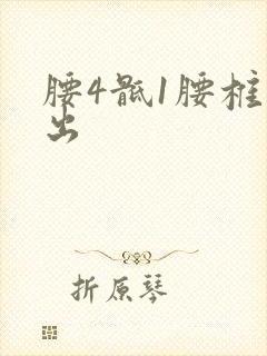 腰4骶1腰椎突出封面