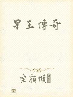 星王传奇