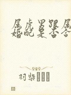 属虎男跟属龙女婚配是否合适