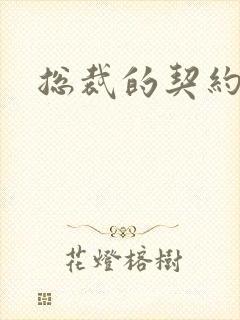 总裁的契约情人封面