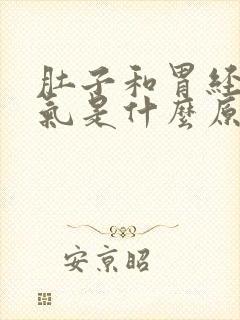 肚子和胃经常胀气是什么原因封面