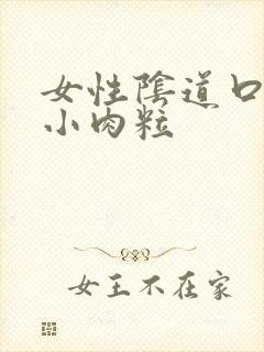 女性阴道口内侧小肉粒封面