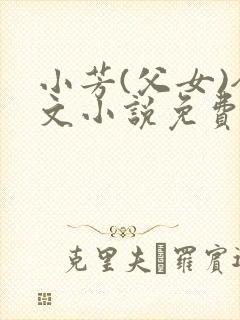 小芳(父女)全文小说免费阅读封面