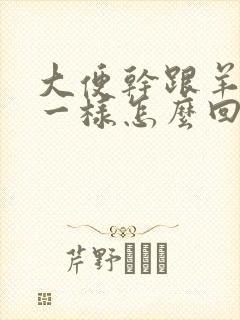 大便干跟羊屎蛋一样怎么回事