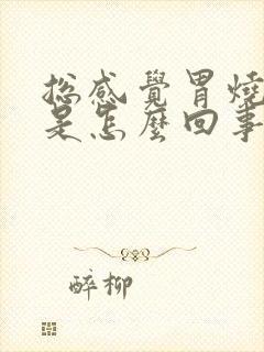 总感觉胃烧的慌是怎么回事封面