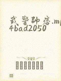 武警帅痞.mp4bad2050封面