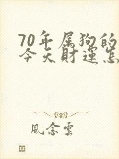 70年属狗的人今天财运怎么样