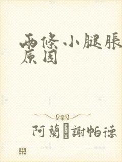 两条小腿胀痛的原因