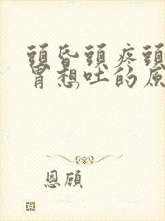 头昏头疼头晕反胃想吐的原因