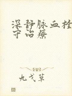 深静脉血栓 保守治疗封面