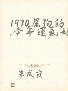 1970属狗的,今年运气好不好